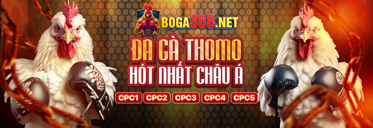 Đá gà trực tuyến bq88 - Trải nghiệm cá cược đỉnh cao